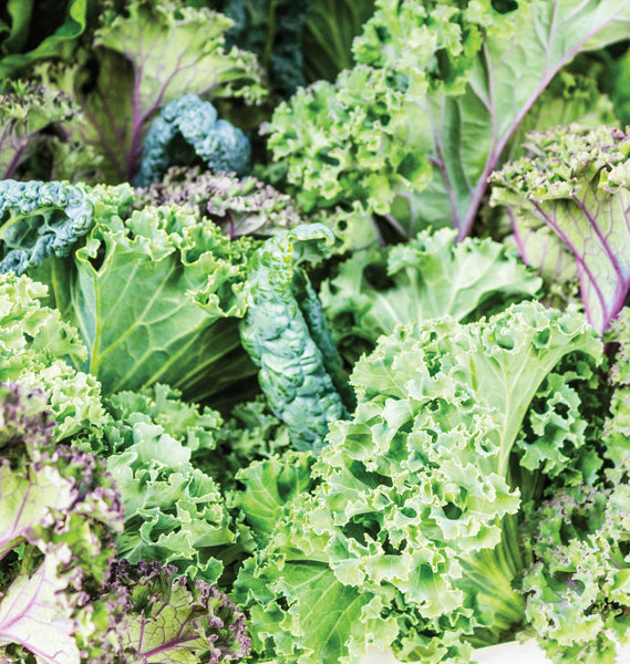 Summer Kale Blend