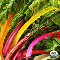 Swiss Chard, Mixed Colors Organic Seeds, 1.6g