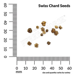 Swiss Chard, Fordhook Giant Organic Seeds, 1.6g