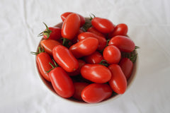 Marzito F1 - Seedsplant
