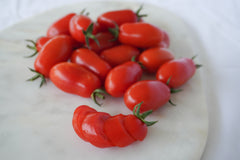 Marzito F1 - Seedsplant