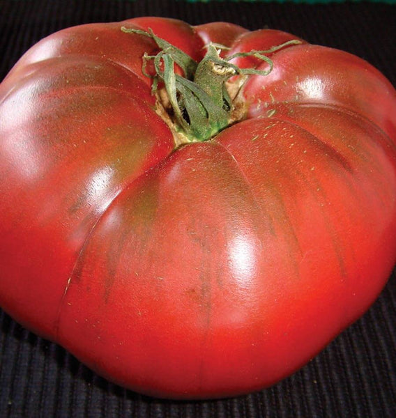 Black Krim Organic