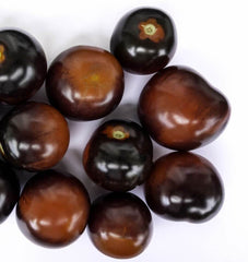 Indigo Rose Organic - Seedsplant