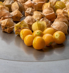 Aunt Molly's Ground Cherry - Seedsplant