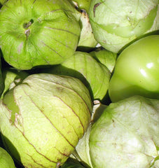 Toma Verde - Seedsplant