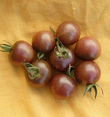 Black Cherry - Seedsplant