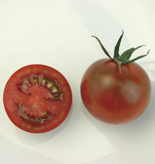 Sunchocola Cherry Tomato - Seedsplant