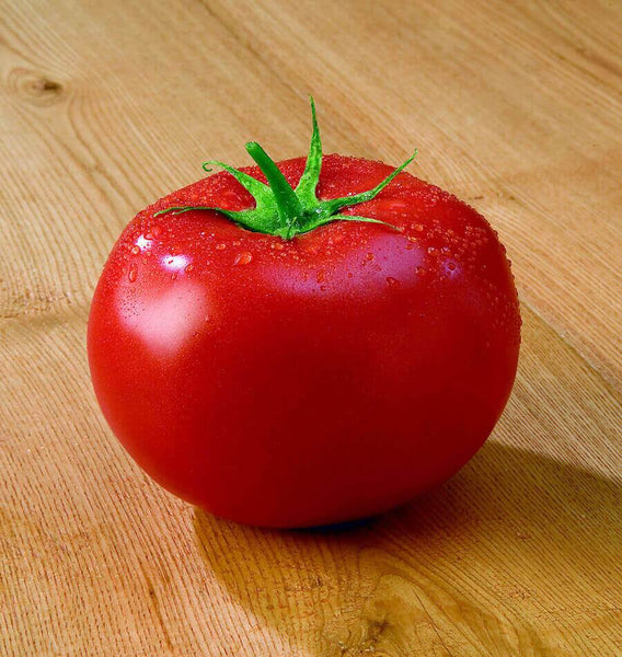 Tasti-Lee