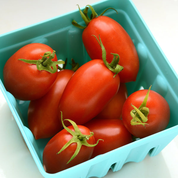 Heirloom Marriage Marzinera Tomato