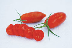 Prairie Fire Organic - Seedsplant