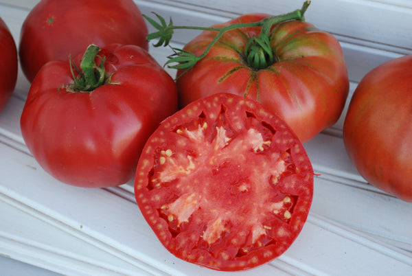 Pruden's Purple Organic