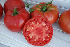 Pruden's Purple Organic - Seedsplant