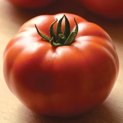 Heirloom Marriage Genuwine Tomato