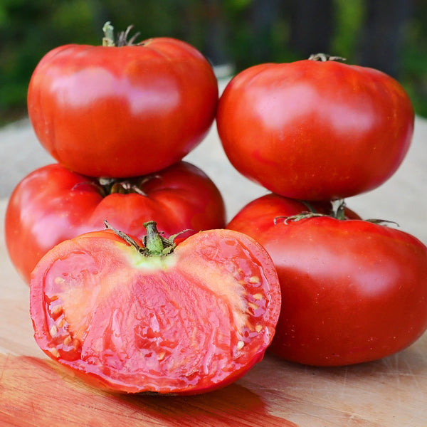 Buffalosteak Tomato
