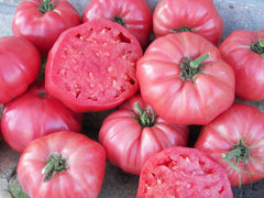 Pink Brandywine Organic - Seedsplant