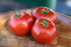 Galahad Organic - Seedsplant