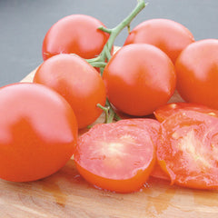 Glacier Tomato