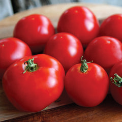 Stupice Tomato