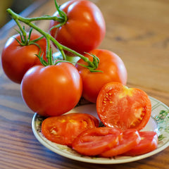 Fantastic Tomato