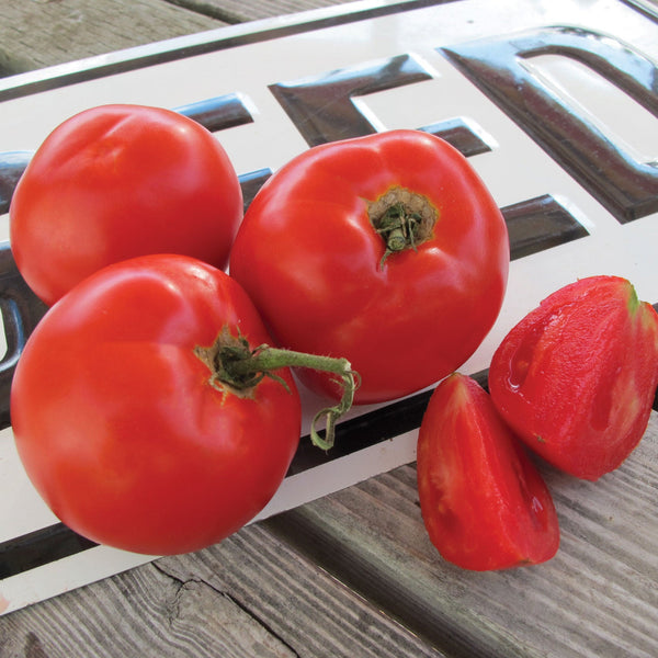 Tasti-Lee Tomato