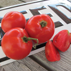 Tasti-Lee Tomato