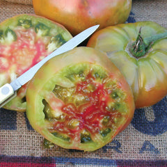 Ananas Noire Tomato