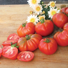 Grandma's Pick Tomato