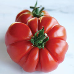 Grandma's Pick Tomato