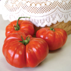 Grandma's Pick Tomato