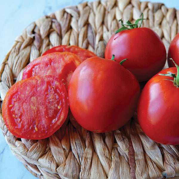 Gill's All-Purpose Tomato