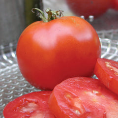 Gill's All-Purpose Tomato