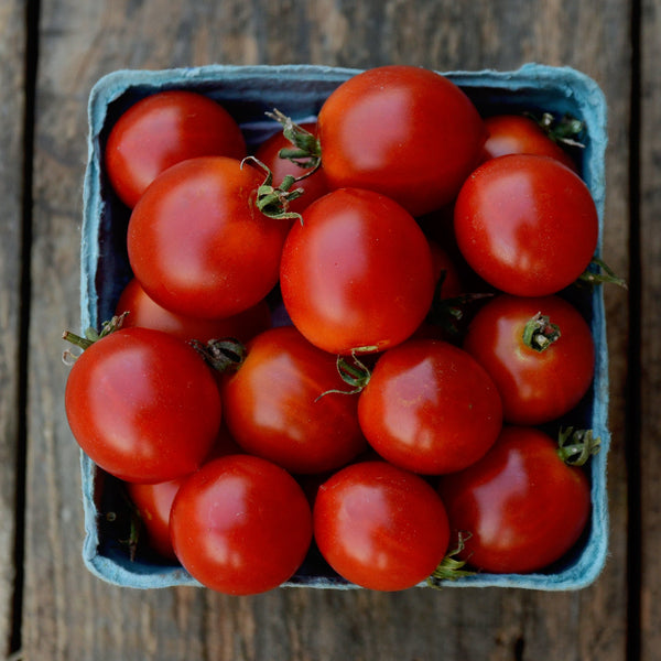 Early Cherry Tomato