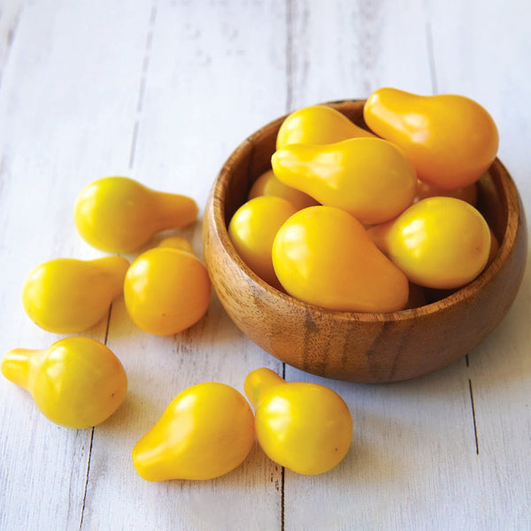 Yellow Pear Tomato