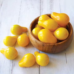 Yellow Pear Tomato