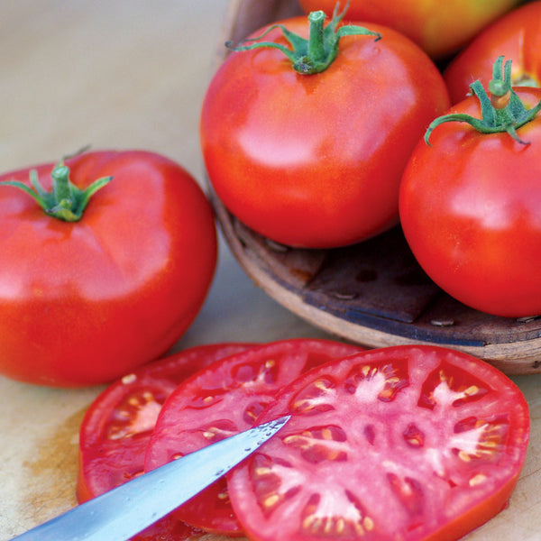 Burbank Slicing Tomato