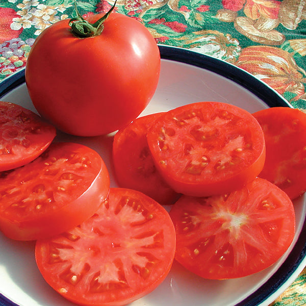 Legend Tomato