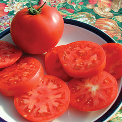 Legend Tomato