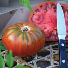 Cosmonaut Volkov Tomato