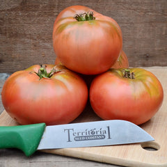 Cosmonaut Volkov Tomato