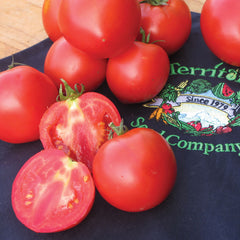 Cobra Tomato