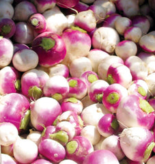 Purple Top White Globe - Seedsplant