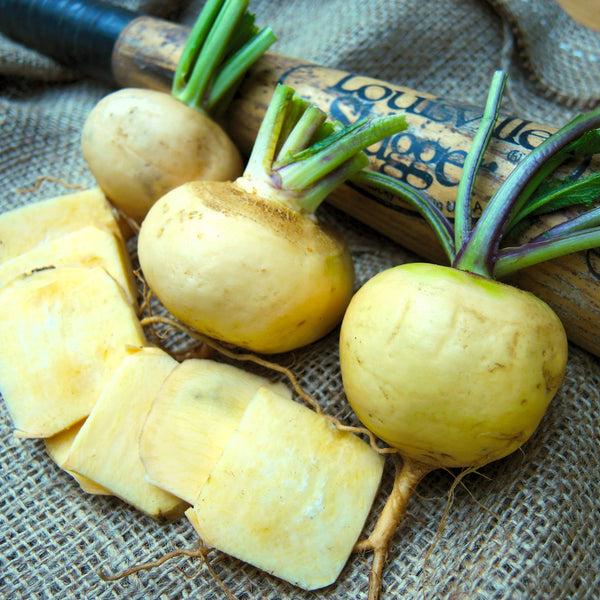 Golden Ball Turnip
