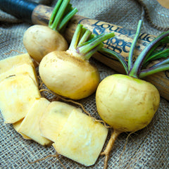 Golden Ball Turnip