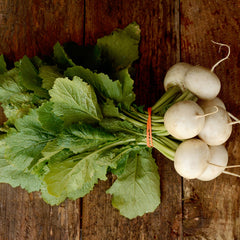 Tokyo Silky Sweet Turnip