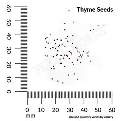 Thyme Organic Seeds, 400mg