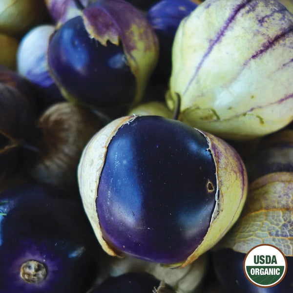 Tomatillo, Purple Organic Seeds, 300mg