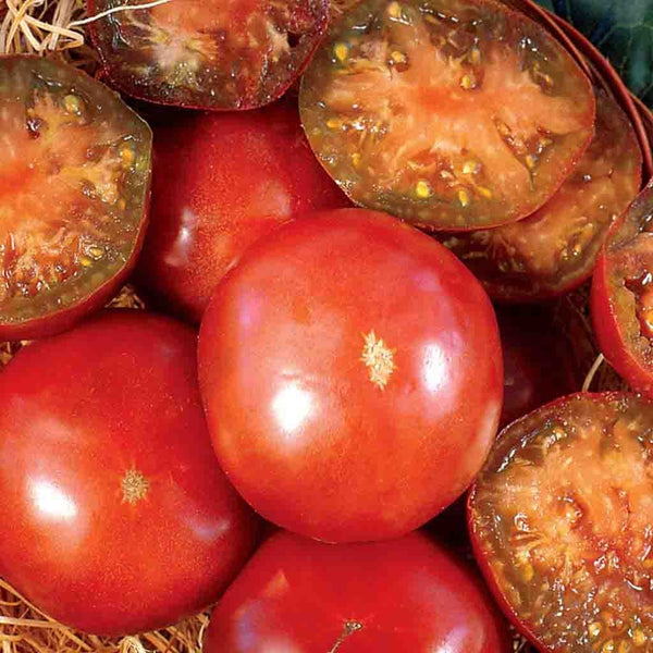 Tomato, Black Krim Heirloom Seeds, 400mg