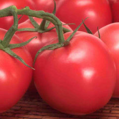 Tomato, Box Car Willie Heirloom Seeds, 400mg