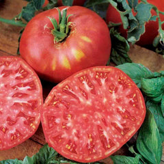 Tomato, Brandywine Pink Fruited Organic Seeds, 300mg