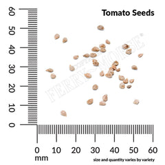 Tomato, Rainbow Blend Heirloom Seeds, 400mg